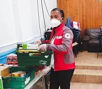 Esri red cross image
