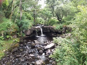 cymru walk and talk event stream images