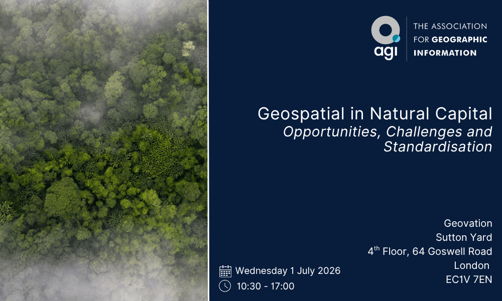 Geospatial in Natural Capital Opportunities, Challenges and Standardisation